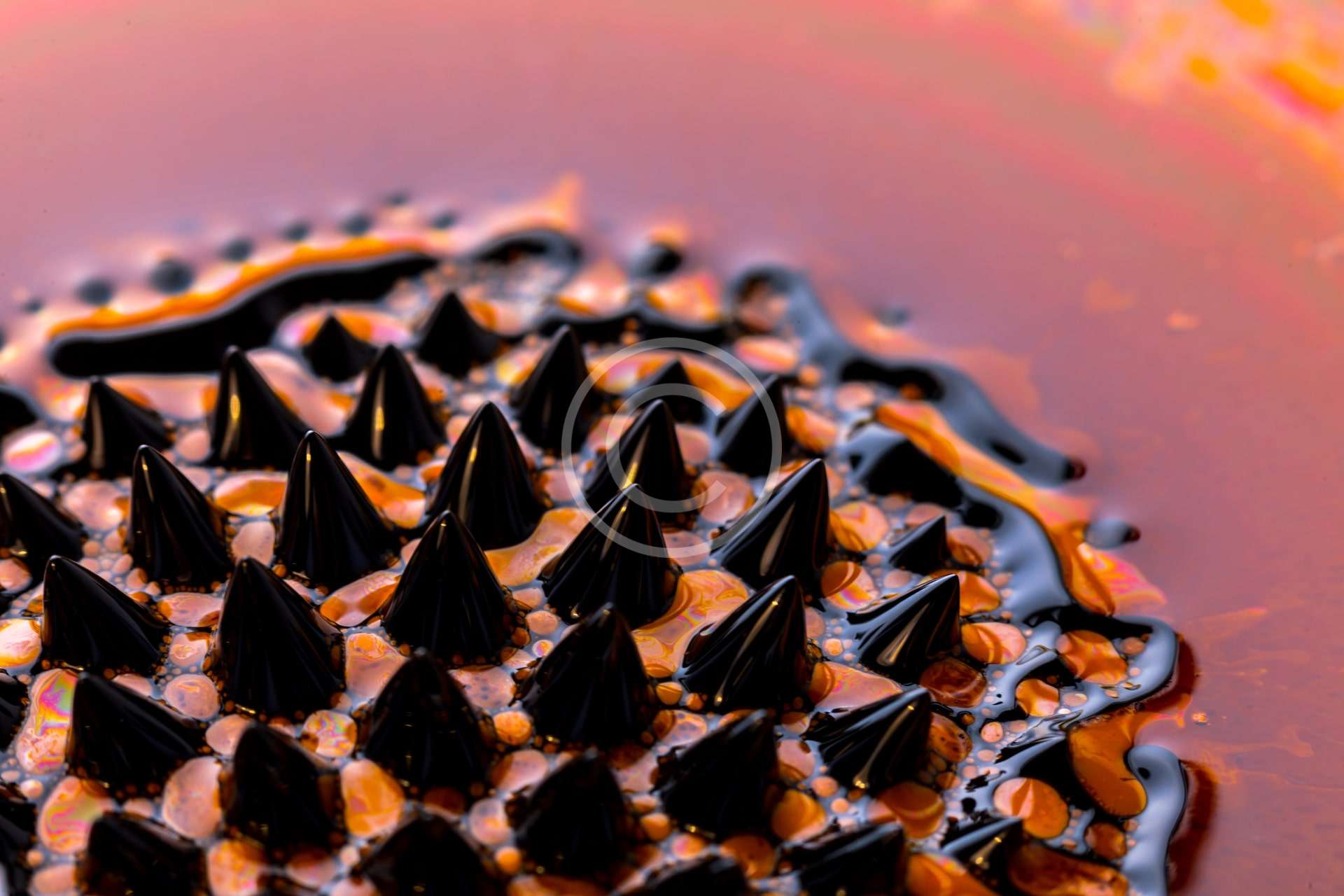 Fabricación de Productos Farmacéuticos Veterinarios